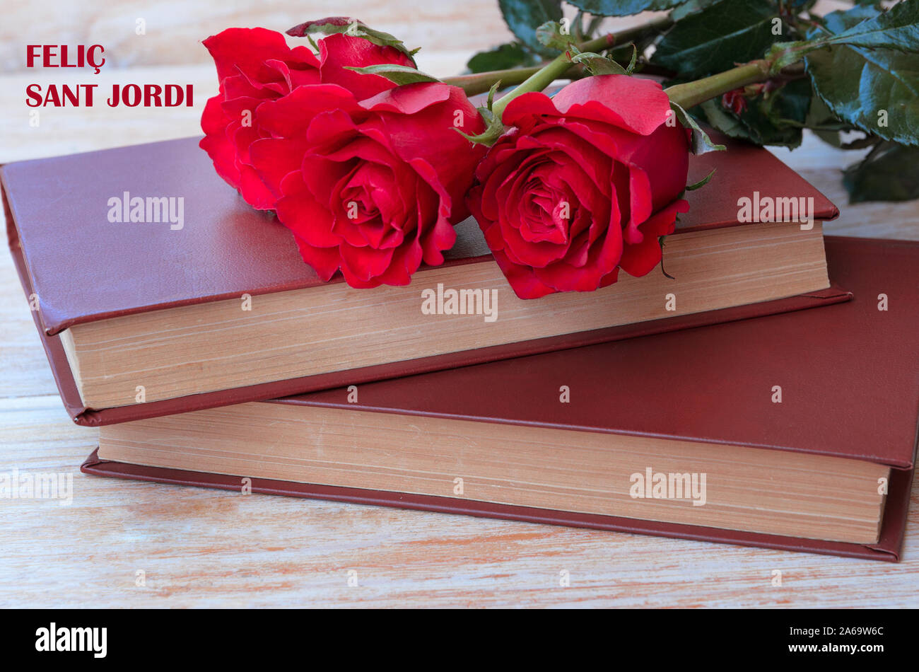 Alte Bücher und red rose, traditionelle Geschenk für Sant Jordi, das Saint Georges Tag. Catalunya's Version von Valentinstag. Phrase Happy Saint Georges in c Stockfoto