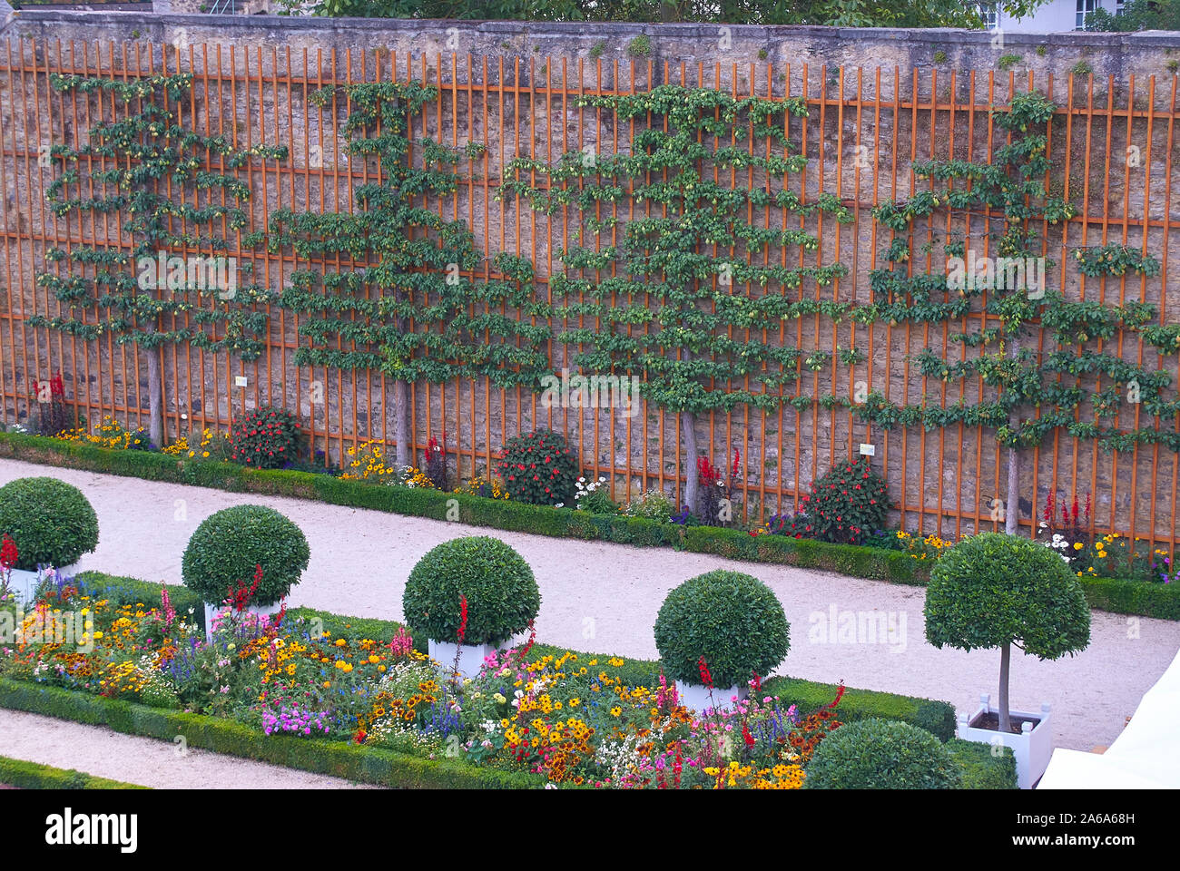 Orangerie Weilburg Schloss mit zwei dimensionalen getrimmt Birnbäume Stockfoto