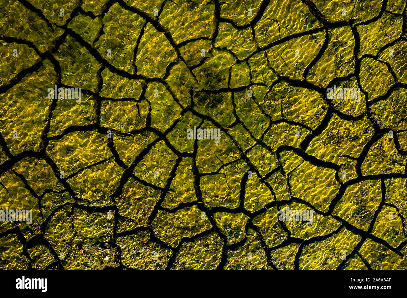 Dürre, trockene, rissige Erde, kein Regen, Naturkatastrophen infolge eines langen Sommers in Ost-java, Indonesien Stockfoto