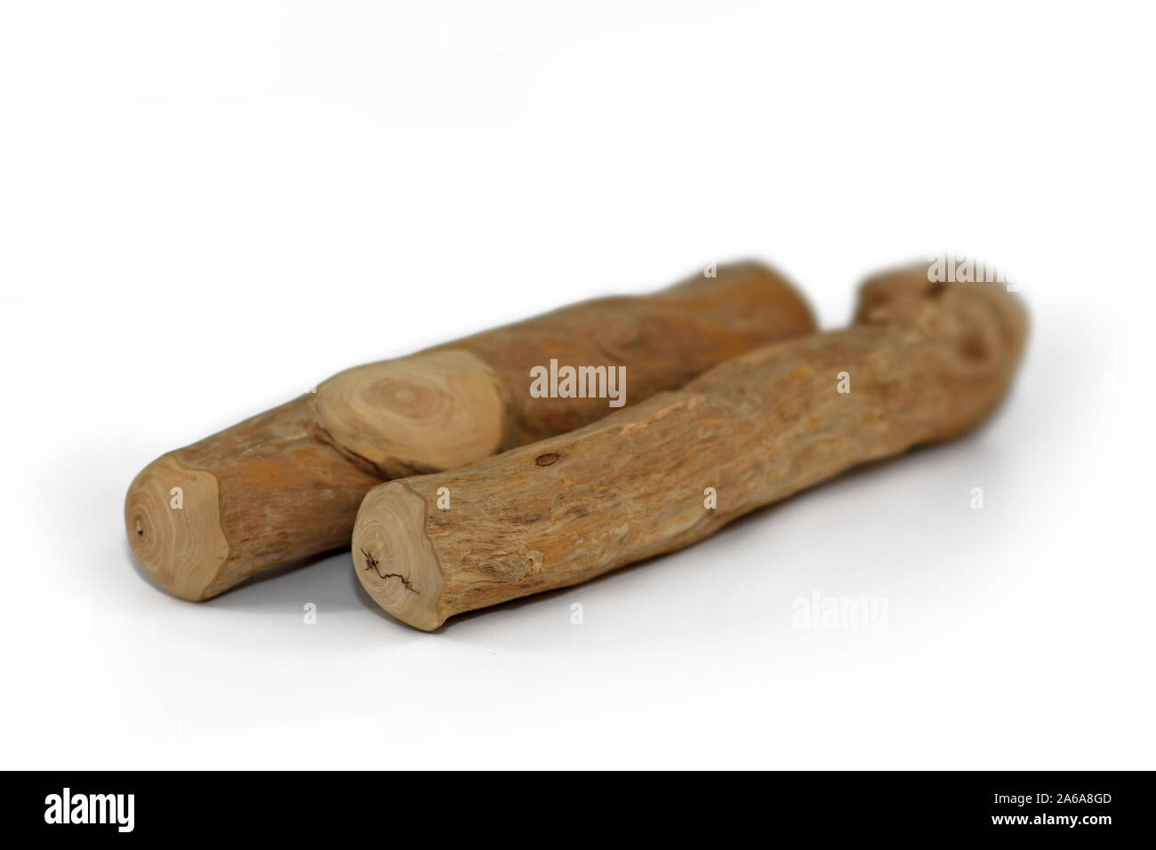 Dauerhafte Kautabletten Kaffee Holz Stick für Hund als Beruf oder Zahnpflege auf weißem Hintergrund zu kauen Stockfoto