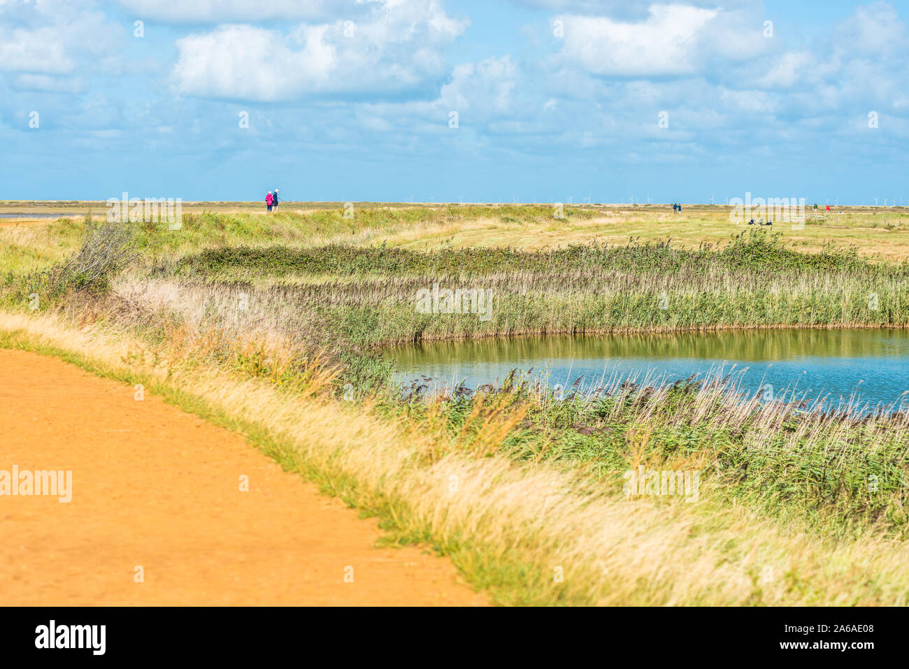 Wanderweg durch Salzwiesen zwischen Blakeney und Cley next das Meer Dörfer an der Küste von North Norfolk Coast, östlich von England, UK. Stockfoto