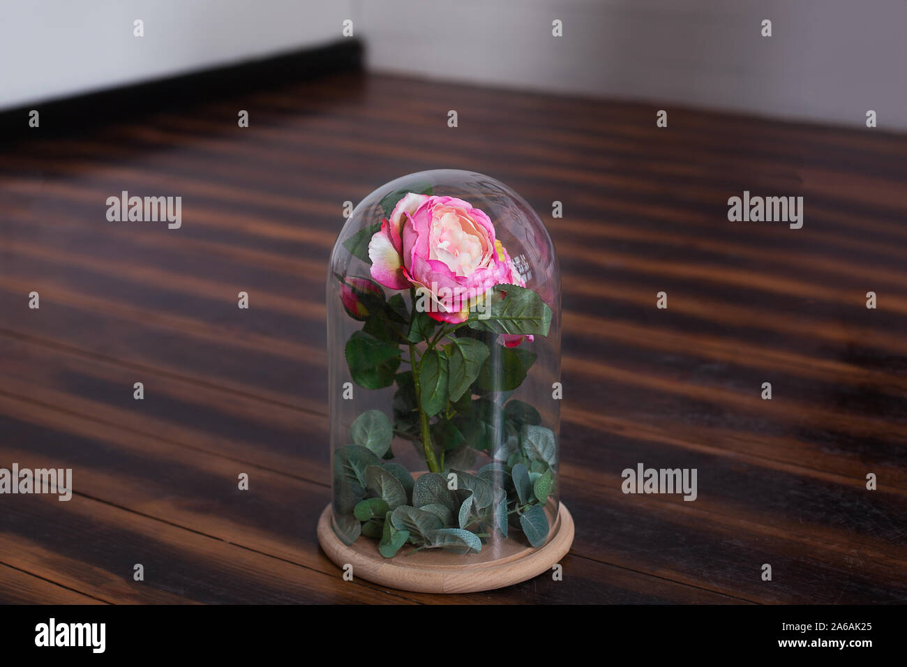 Langlebige rose in einer Flasche, in einer Glaskuppel, stabilisiert, ein Geschenk. leben in einem Glaskolben rose. Erhaltene rosa Rose. Stockfoto