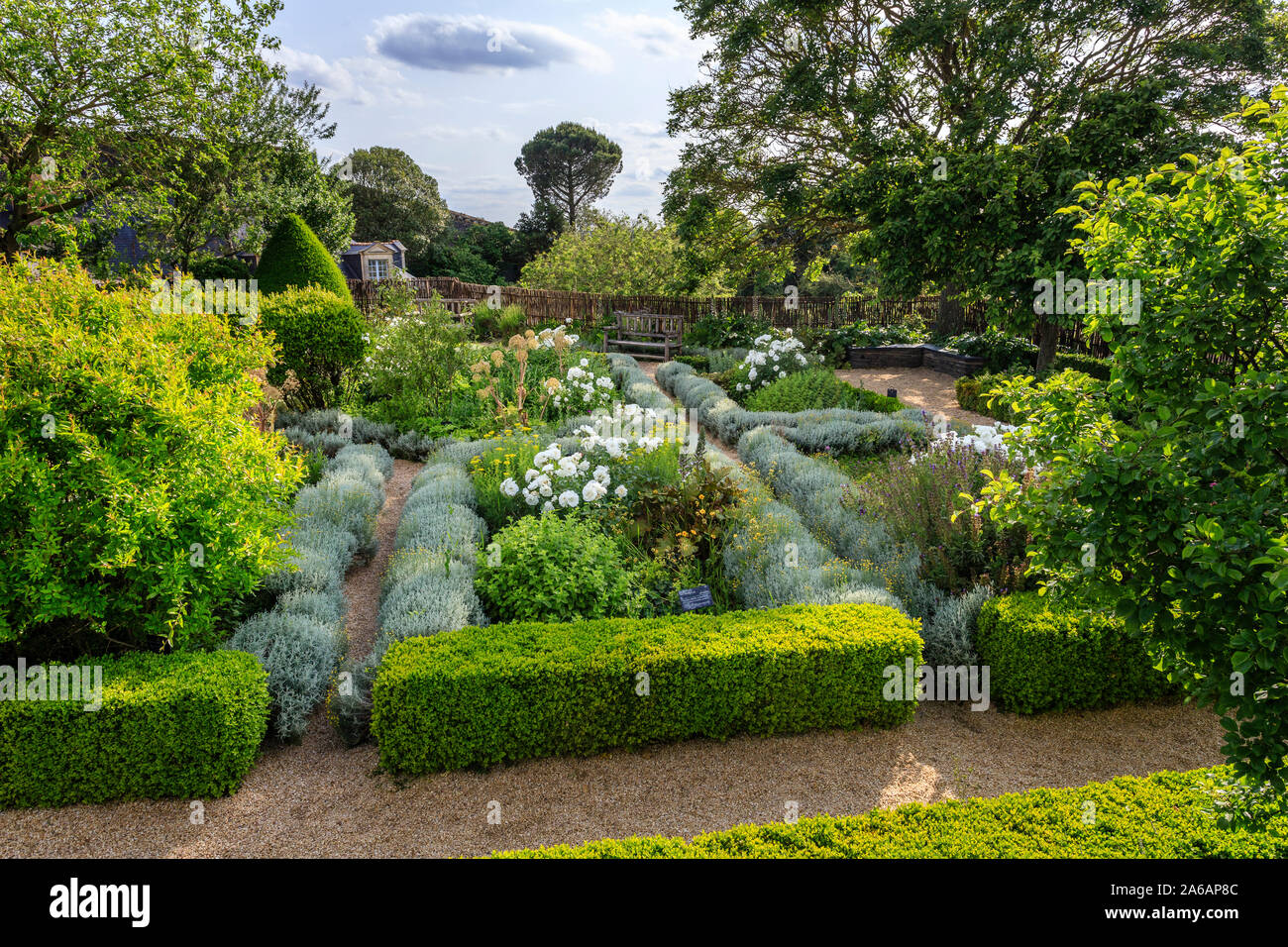 Frankreich, Maine et Loire, Angers, Chateau d'Angers, Angers Schloss, auf der Stadtmauer, die hängenden Garten besteht aus geometrischen Blumenbeet, mit med gepflanzt Stockfoto