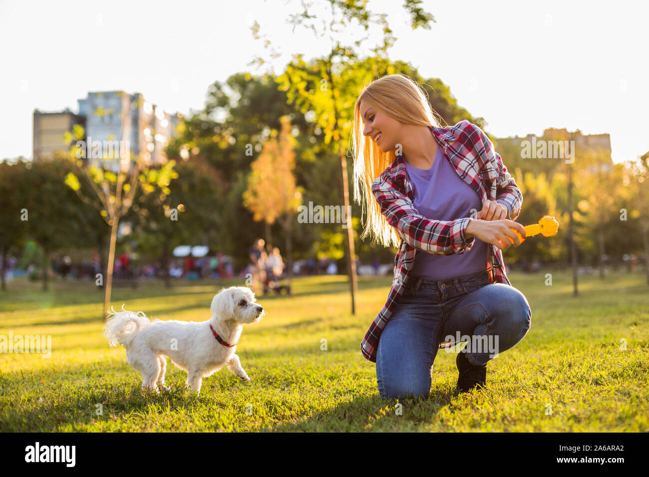 Schöne Frau ist das Spielen mit Ihrem Malteser Hund im Park. Stockfoto