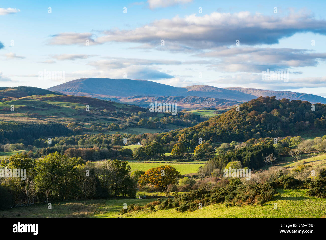 Flotte Valley National Scenic Area in Richtung Carstramon Holz, Clints von Dromore und Cairnsmore der Flotte, in der Nähe von Torhaus der Flotte, Dumfries and Galloway, Schottland Stockfoto