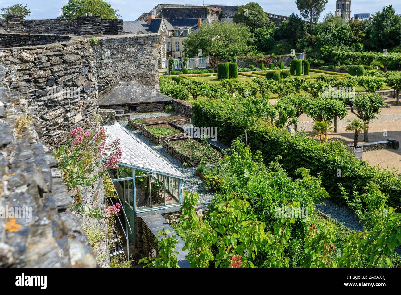 Frankreich, Maine et Loire, Angers, Chateau d'Angers, Angers Schloss, der Gemüsegarten Installiert auf einer Terrasse der Stadtmauer gesehen von der Wand weg/ Stockfoto