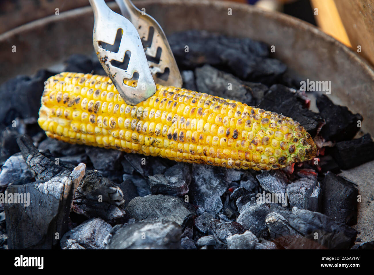 Gelber Mais gebraten auf Feuer aus schwarzem Kohlenstoff Stockfoto