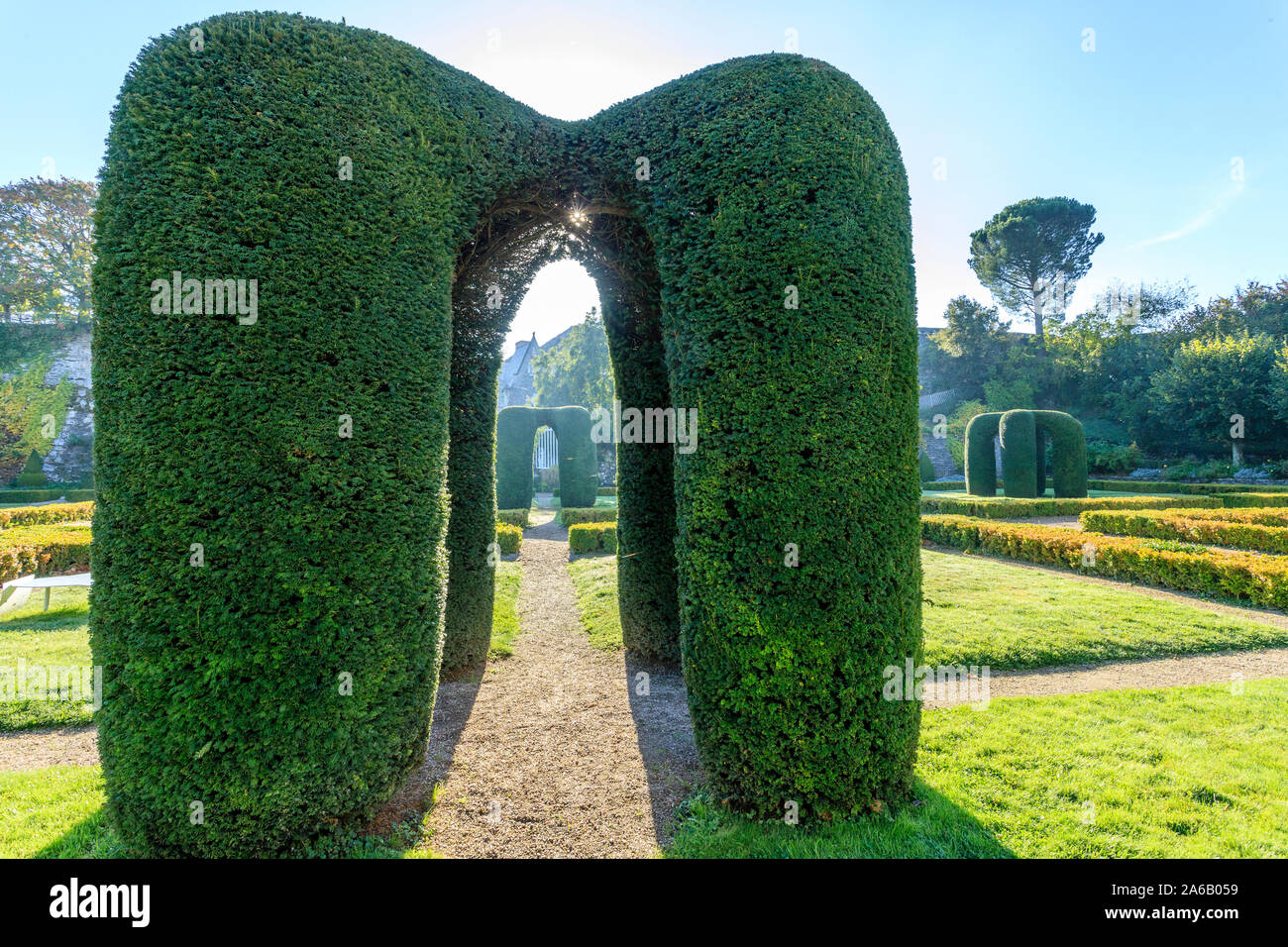 Frankreich, Maine et Loire, Angers, Chateau d'Angers, Angers Schloss, im Innenhof, die Regelmäßiger Garten mit Eiben Bögen in Formschnitt//Fran prune Stockfoto