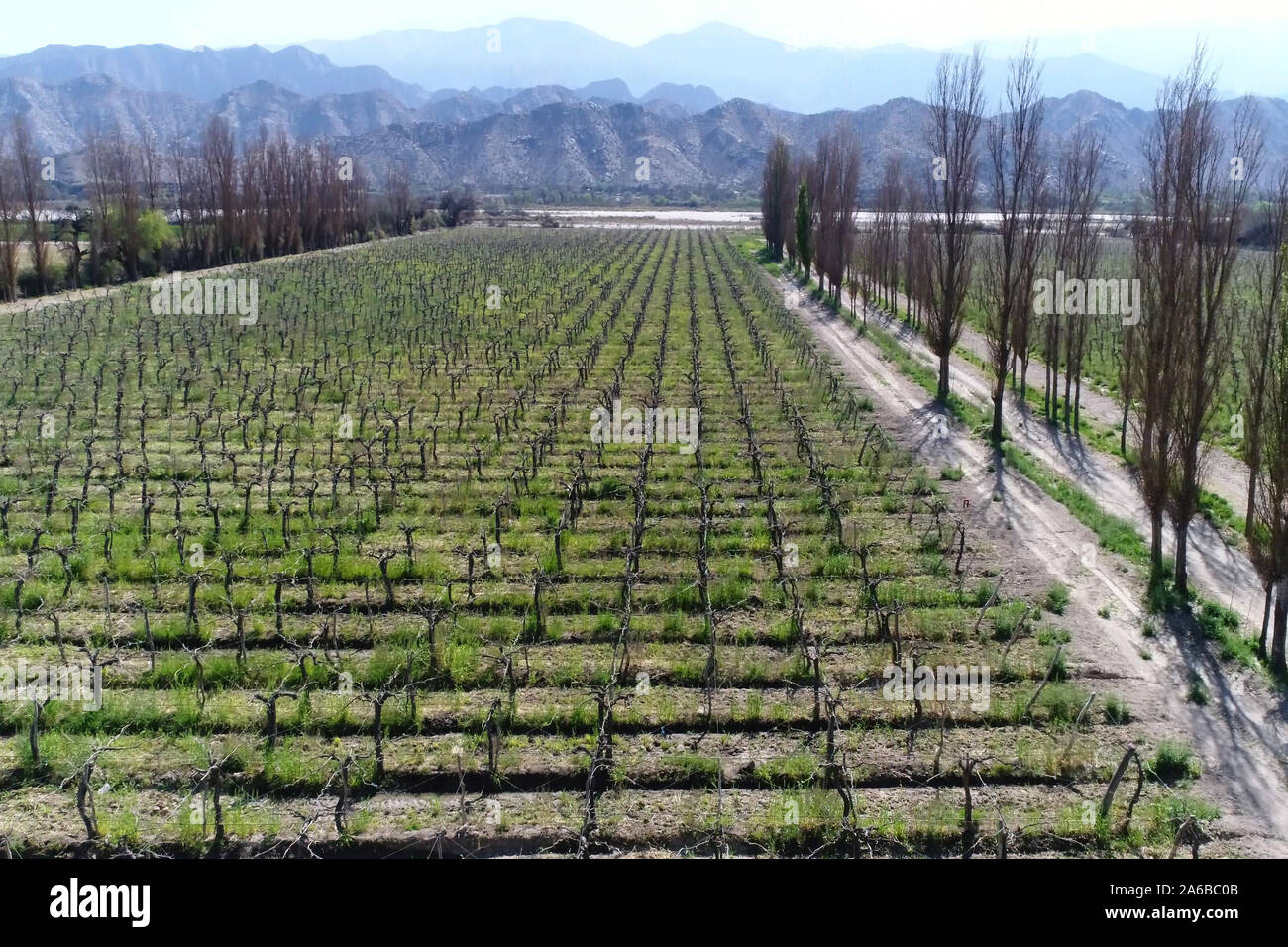 Buenos Aires. 25 Sep, 2019. Luftbild vom Sept. 25, 2019 zeigt einen Weinberg in Santiago del Estero in Argentinien. Fünf führenden argentinischen Weingüter ihre Consumer Market in China durch die Teilnahme an der zweiten internationalen Import China Expo (CIIE), in der ostchinesischen Stadt Shanghai am 07.11.5-10 gehalten zu werden. Gehen MIT "Funktion: Argentinische Premium Weine an China Import Expo 'Credit Debüt: Martin Zabala/Xinhua/Alamy leben Nachrichten Stockfoto