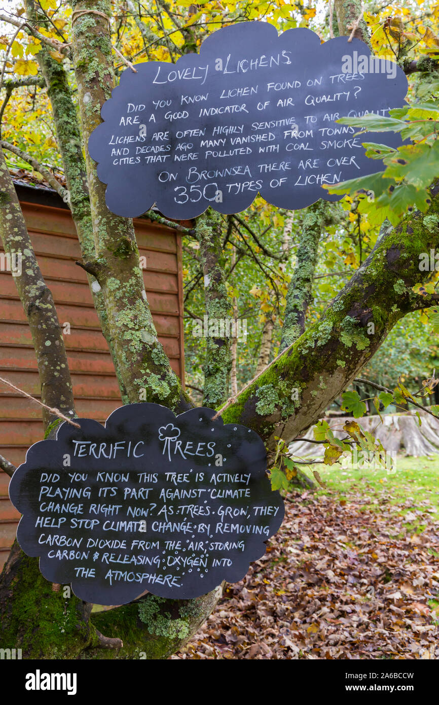 Schilder auf Brownsea Island, Poole, Dorset. Tolle Bäume. Wussten Sie, dass dieser Baum ist aktiv ihren Teil gegen den Klimawandel Jetzt spielen? Wie Bäume wachsen sie helfen, den Klimawandel zu stoppen, indem sie Kohlendioxid aus der Luft, CO2-Speicherung und Freigabe von Sauerstoff in der Atmosphäre. Schöne Flechten. Wussten Sie, dass Flechten auf Bäumen zu finden sind ein guter Indikator für die Luftqualität? Flechten sind oft sehr sensiblen Qualität und vor Jahrzehnten viele aus Städten und Gemeinden, die mit Kohle Rauch verschmutzt waren verschwunden. Auf Brownsea es gibt über 350 Arten von Flechten. Stockfoto