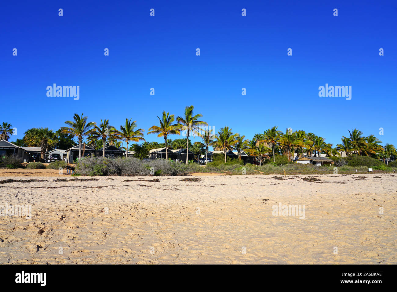 affe-mia-resort-fotos-und-bildmaterial-in-hoher-aufl-sung-alamy