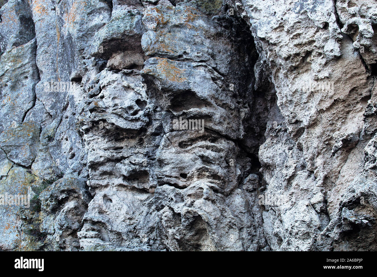 Geologie. Malancolie bryozoan Kalkstein (Kalke) der Halbinsel Kertsch (Krim, am Schwarzen Meer) sind sedimentären Meotic Meer von 3 Millionen Jahren Stockfoto