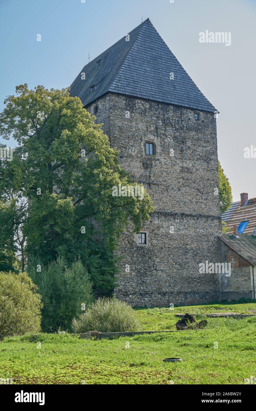 Ducal in Siedlecin den ältesten Fresken in Europa erhalten, die die Legende von König Arthur Halten Stockfoto