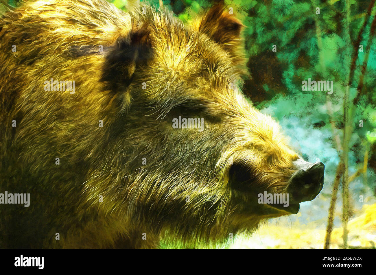 Wildschwein (lat. Sus Scrofa), Wildschwein oder Wildschwein - ist ein Säugetier der Ordnung Artiodactyla, Unterordnung (nicht-Wiederkäuer) Stockfoto