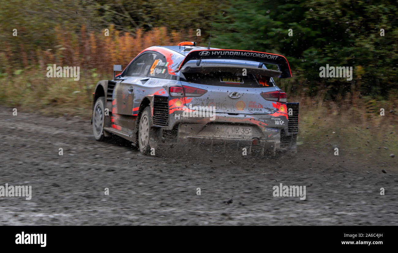 Auto 42, Fahrer Craig Breen, Co-Driver Paul Nagle, Wales Rally GB, Tag drei, Brenig Wald Bühne Stockfoto