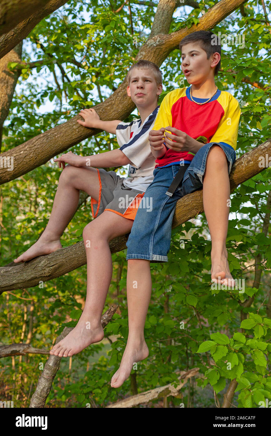 Zwei Jungs sitzen auf dem Baum. Stockfoto