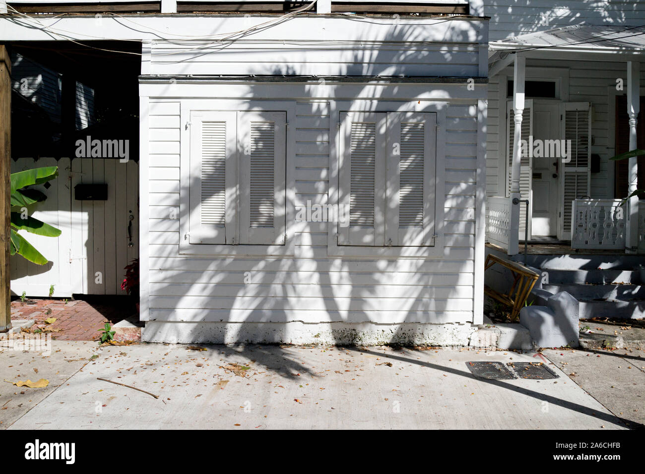Starke Schatten Muster der Palme auf der einen Geschichte Insel zu Hause mit Fensterläden, clap board Abstellgleis. Conch House auf Key West, FL, USA Stockfoto