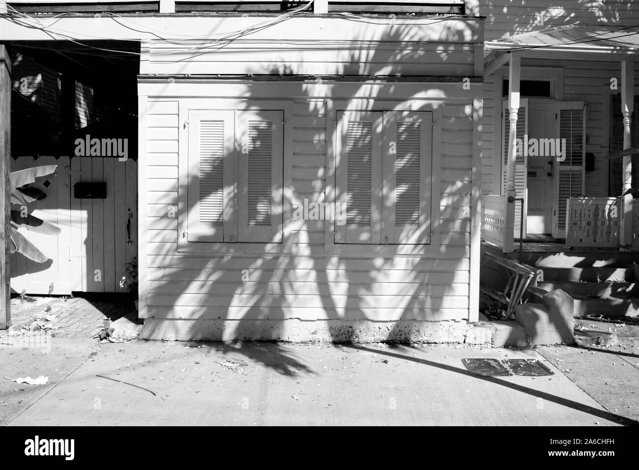 Starke Schatten Muster der Palme auf der einen Geschichte Insel zu Hause mit Fensterläden, clap board Abstellgleis. Conch House auf Key West, FL, USA Stockfoto