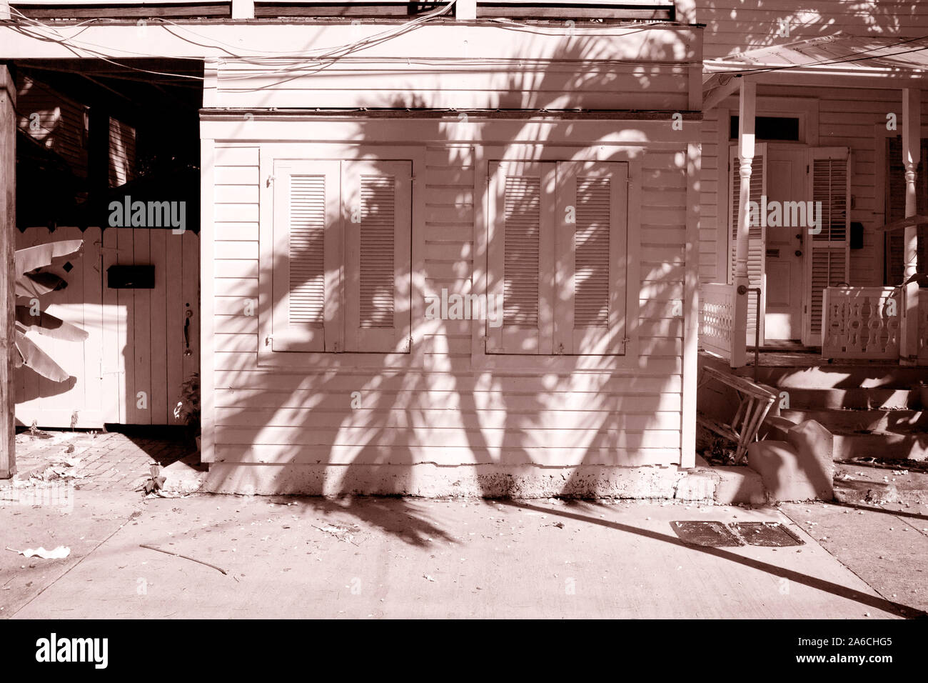 Starke Schatten Muster der Palme auf der einen Geschichte Insel zu Hause mit Fensterläden, clap board Abstellgleis. Conch House auf Key West, FL, USA Stockfoto