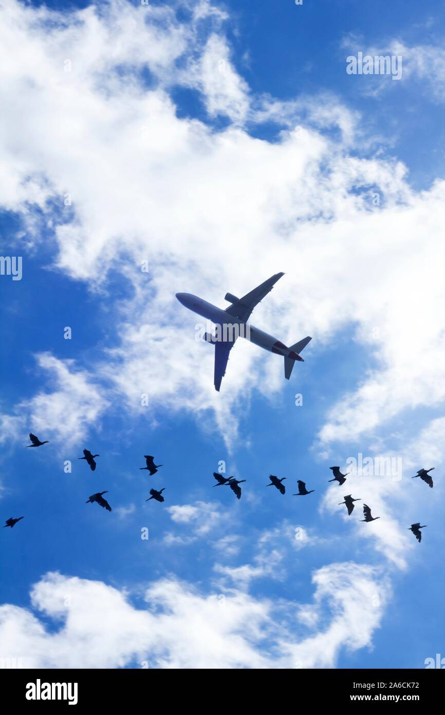 Konzeptionelle Bild der Flugsicherheit. Stockfoto