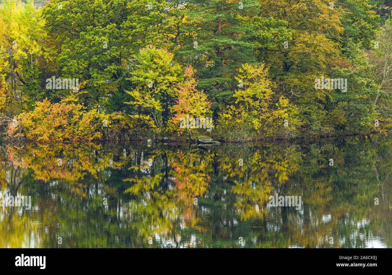 Reflexionen in Rydal Wasser im Lake District National Park Cumbria. Der Fluss Rothay läuft sowohl über Grasmere und Rydal wasser Seen. Stockfoto