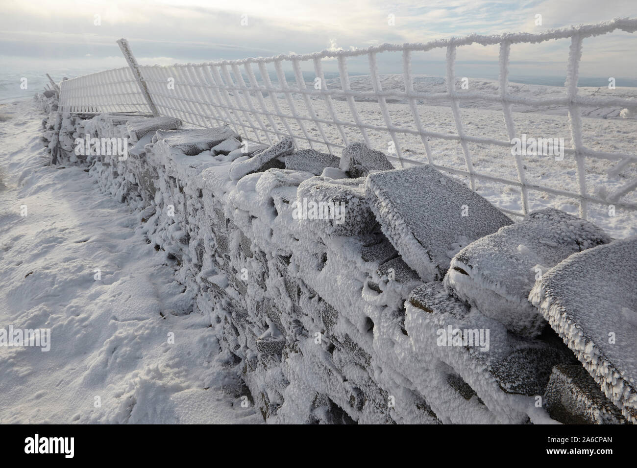 Trockene Mauer aus Stein und draht zaun in Reif auf Whernside abgedeckt in Eis und Schnee mitten im Winter Yorkshire Dales Teppichboden Stockfoto