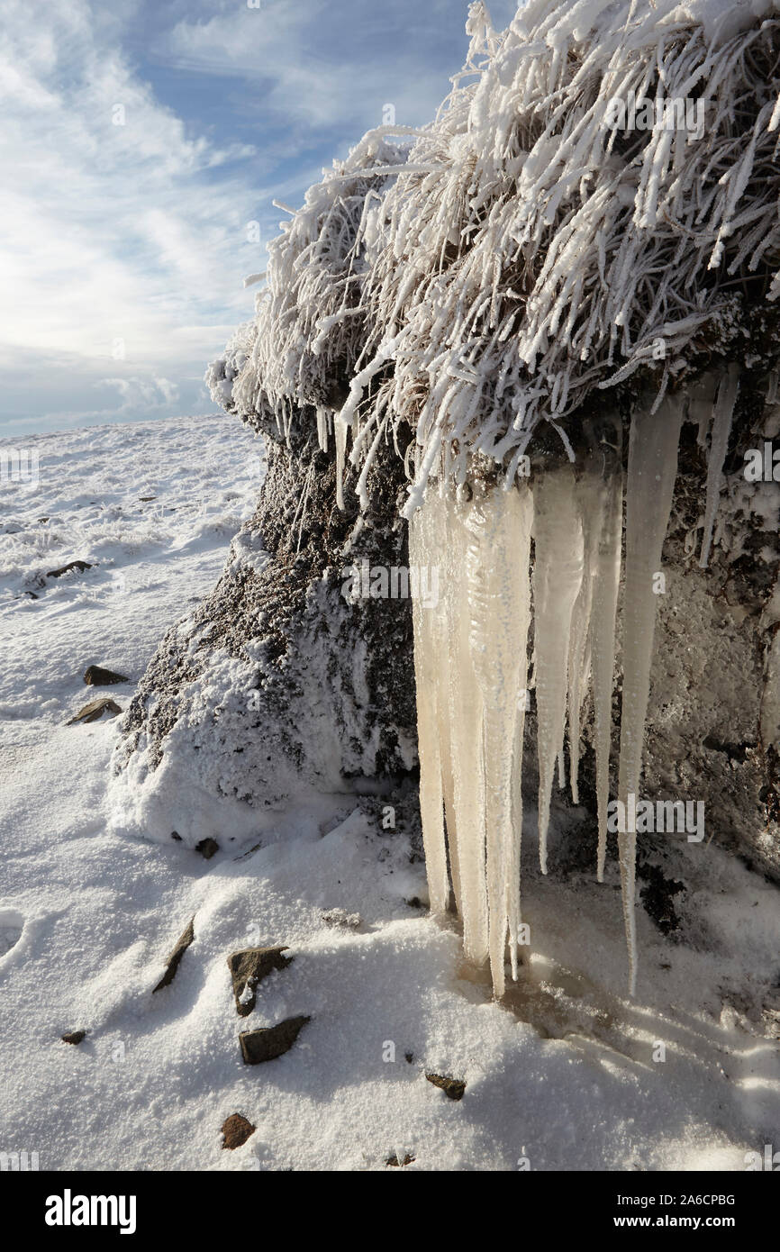 Eiszapfen und Reif auf whernside Teppichboden in Eis und Schnee mitten im Winter Yorkshire Dales Stockfoto