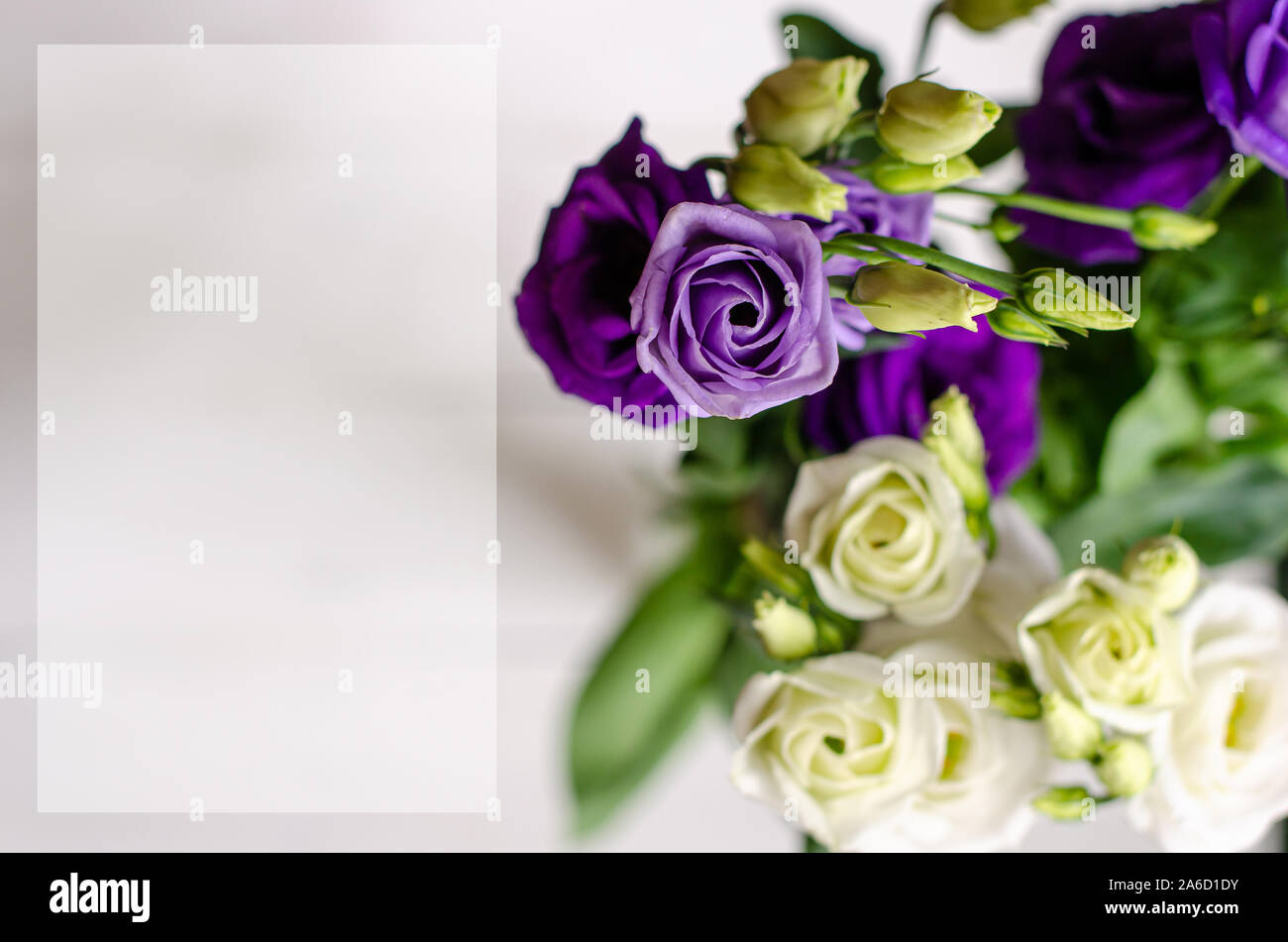Gruß oder einladungskarte Vorlage oder Mock up. Eustoma Blumen mit Platz für Text Stockfoto