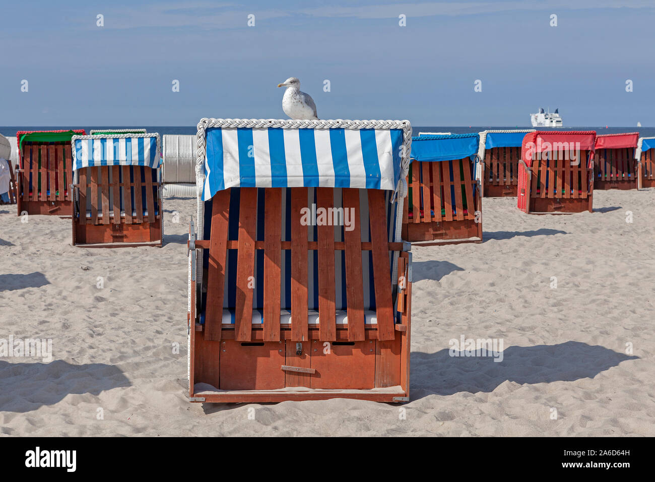 Eine Möwe sitzt auf einem Stuhl am Strand von Warnemünde in Mecklenburg-Vorpommern, Deutschland Stockfoto