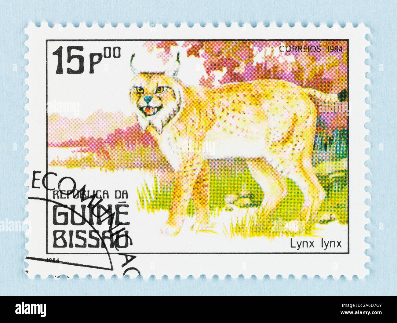 Nahaufnahme von gedenkmünzen Briefmarke aus Guinea Bissau, mit einem Luchs, - fleischfressende Tiere Thema Stockfoto