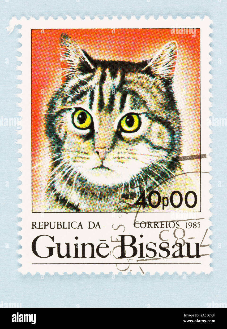SEATTLE, Washington - 25. September 2019: In der Nähe von Stempel aus Guinea Bissau. Noch immer Leben des Jungen tabby Katze auf Briefmarke. Stockfoto