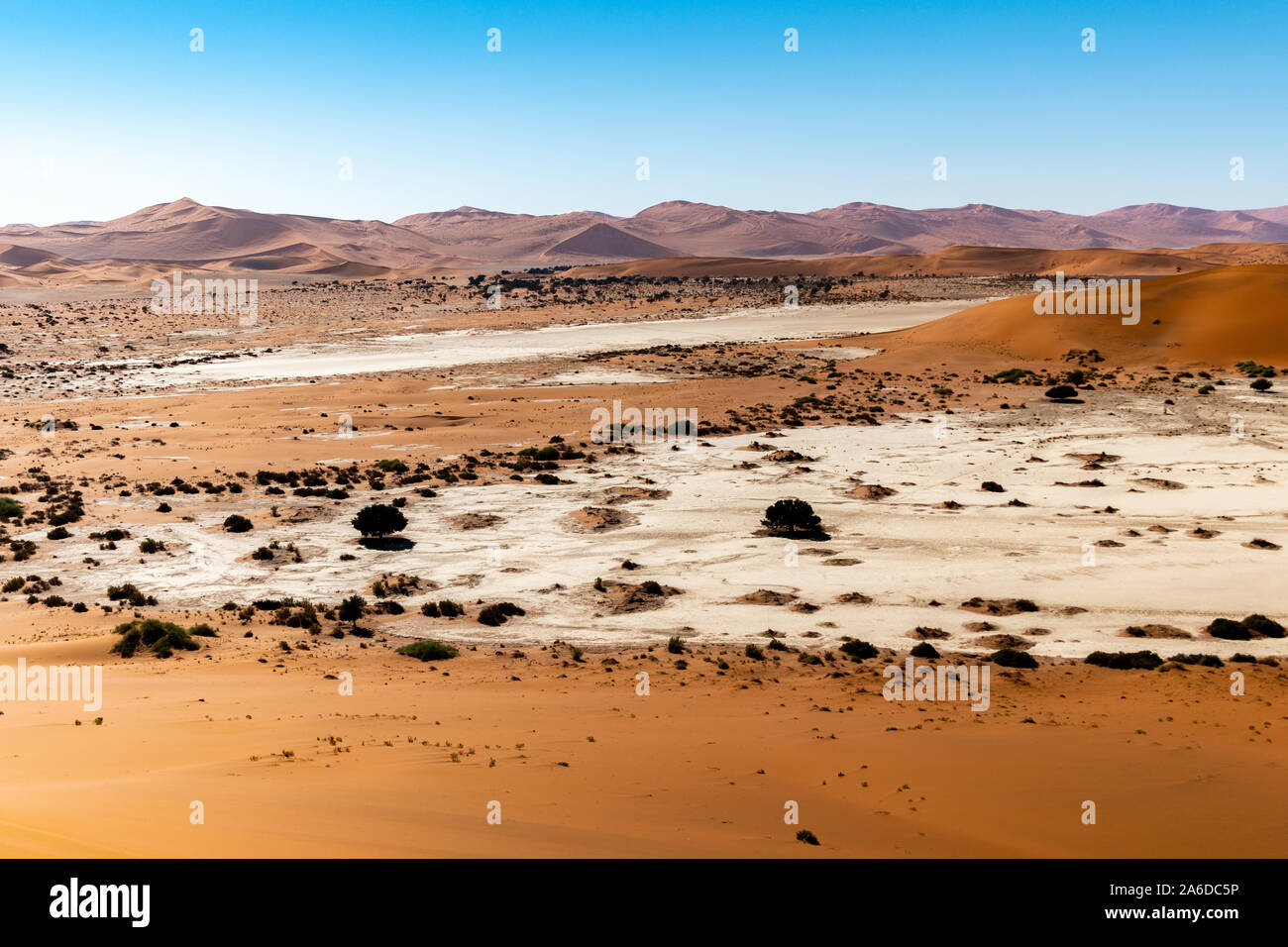 Sossusvlei Namib Namibia Wüste Death Vlei, Afrika Stockfoto