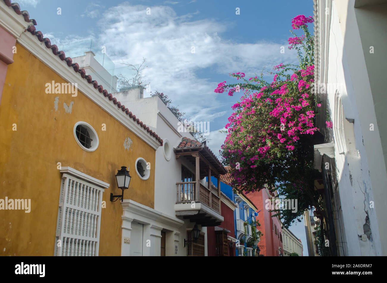 Charmanten Straße, das in der ummauerten Stadt Cartagena Stockfoto Charmanten Straße, das in der ummauerten Stadt Cartagena Stockfoto