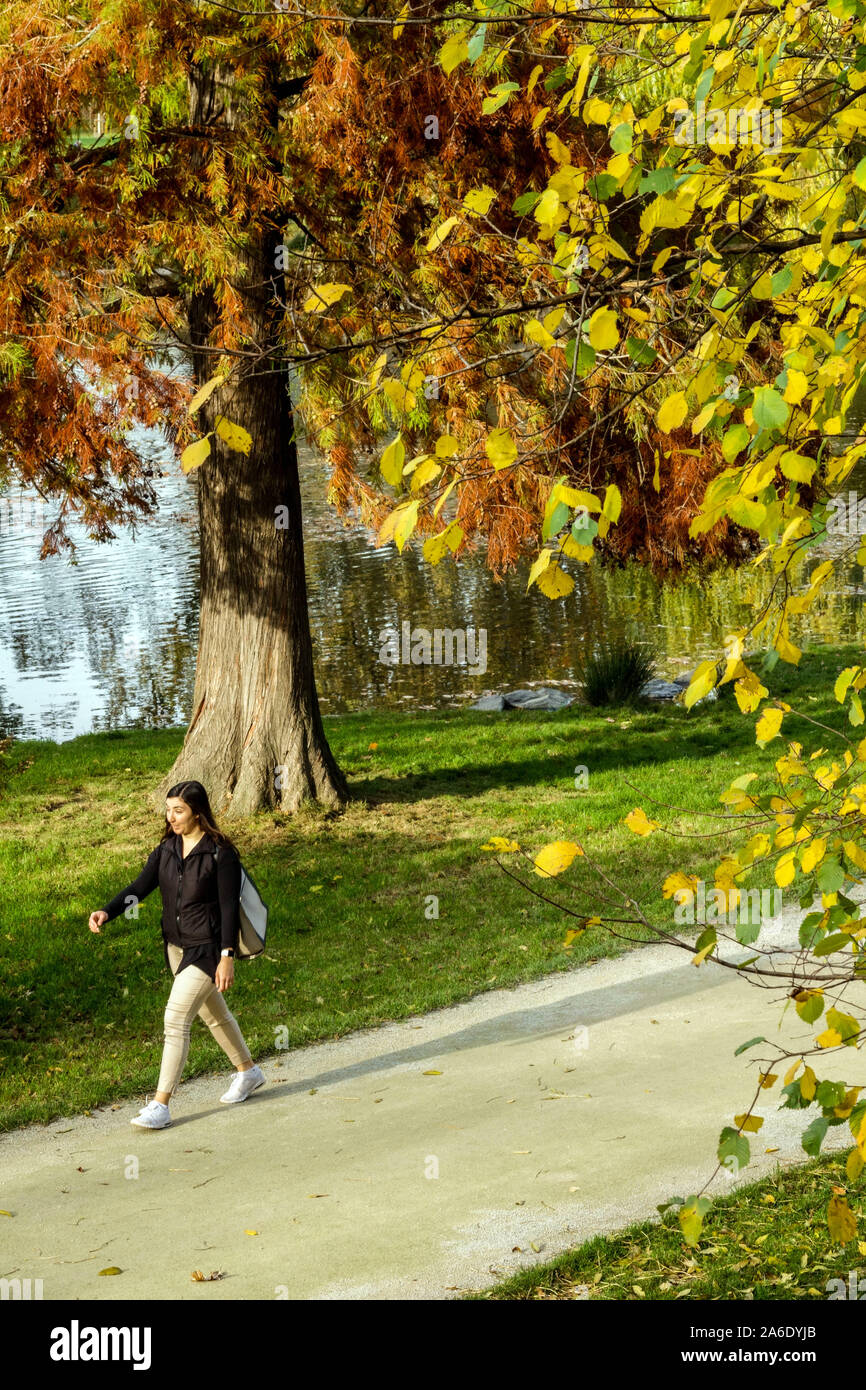 Frau gehen, Herbst im City Park Stromovka Prag Holesovice Stockfoto