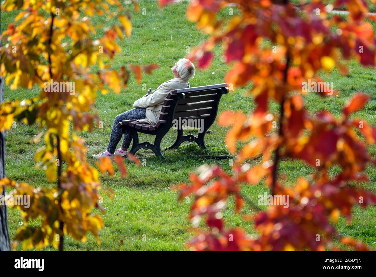 Ältere Frau genießt Herbst im Stadtpark, Herbstgartenbank Herbstfarben Damenbank allein Stockfoto