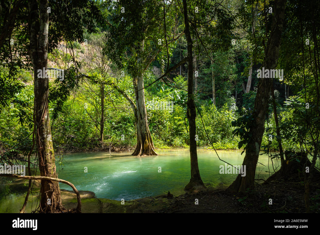 Tad Sae Wasserfall in der Provinz Luang Prabang, Laos Stockfoto