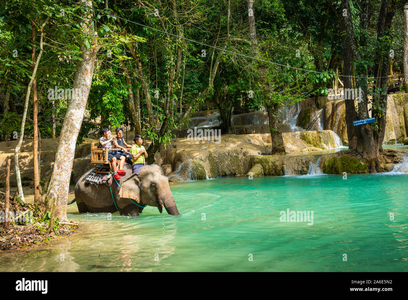 LUANG PRABANG, LAOS - Oktober 12, 2019: Bei Tad Sae Wasserfall, Luang Prabang, Laos Elefant. Stockfoto