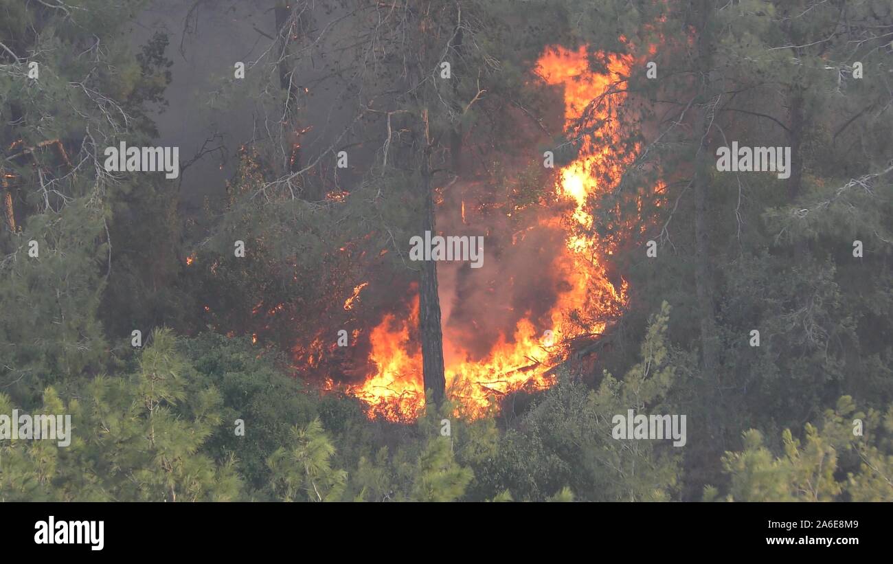 Bäume und Bürste Feuer fangen mit riesigen Flammen und brennen heftig Stockfoto