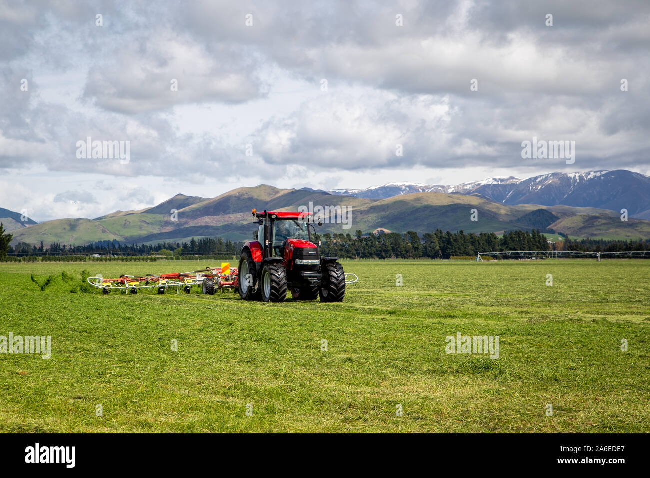 Sheffield, Canterbury, Neuseeland, 25. Oktober 2019: ein Unternehmer rechen Silage bereit auf einem großen Bauernhof in der Canterbury Ausläufern auf dem Ballen gepresst werden. Stockfoto