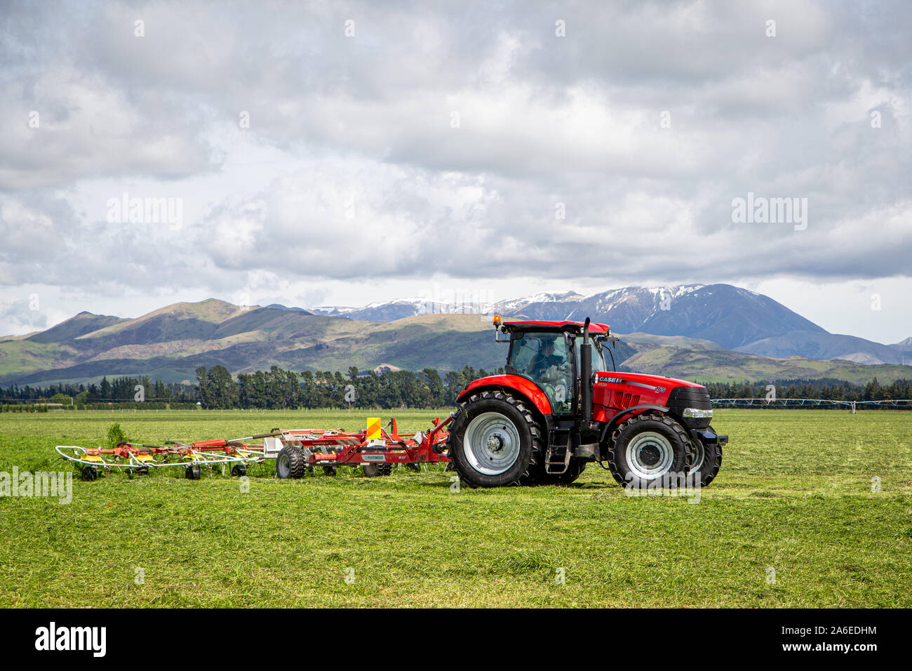 Sheffield, Canterbury, Neuseeland, 25. Oktober 2019: ein Unternehmer rechen Silage bereit auf einem großen Bauernhof in der Canterbury Ausläufern auf dem Ballen gepresst werden. Stockfoto