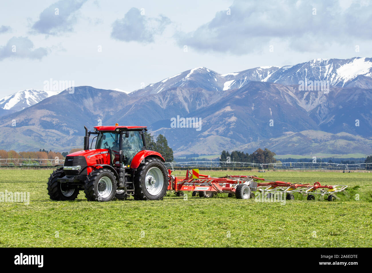 Sheffield, Canterbury, Neuseeland, 25. Oktober 2019: ein Unternehmer rechen Silage bereit auf einem großen Bauernhof in der Canterbury Ausläufern auf dem Ballen gepresst werden. Stockfoto
