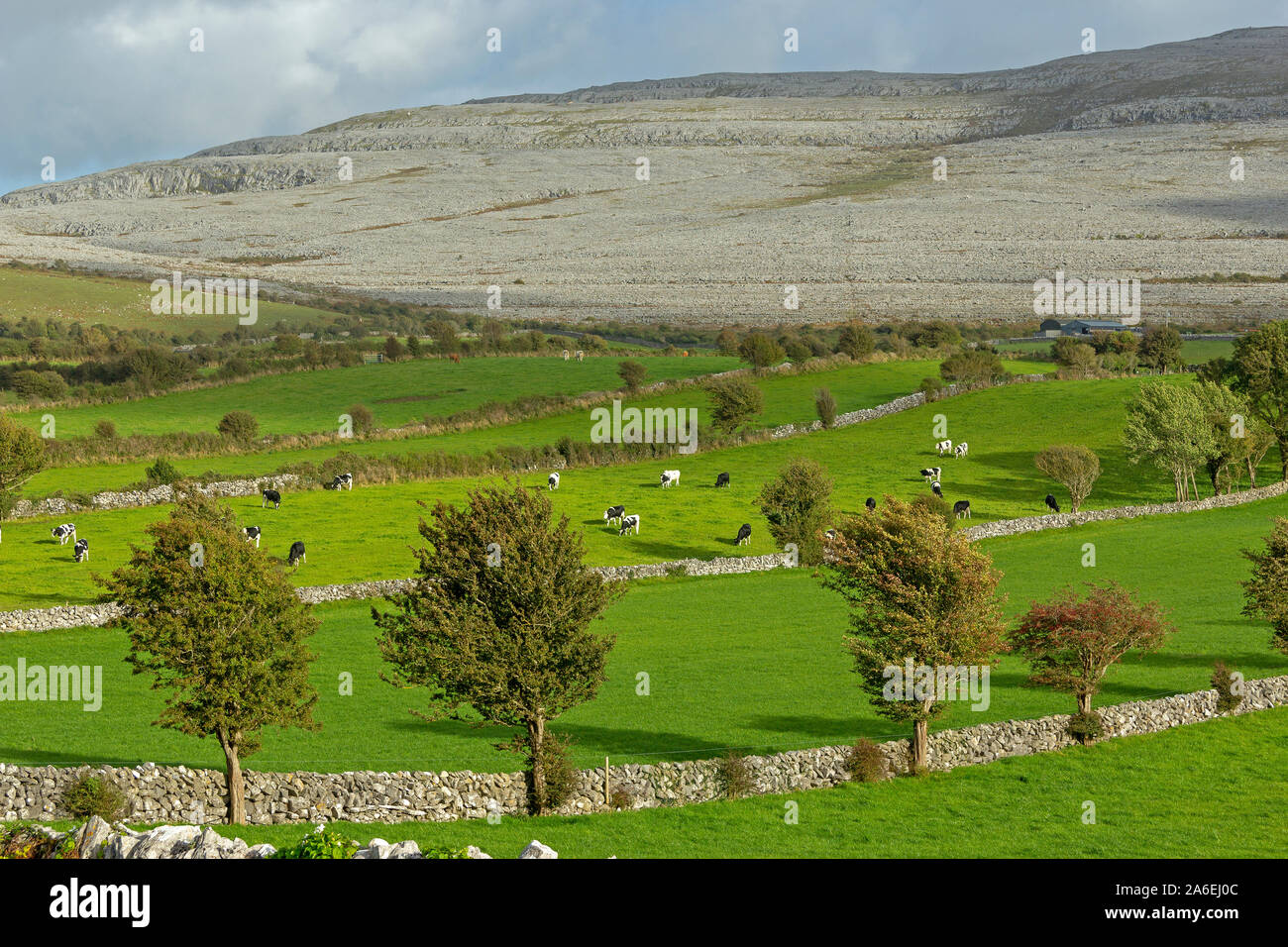 Ein Blick auf die in der Nähe von Ballyvaughan Burren im County Clare, Irland. Stockfoto