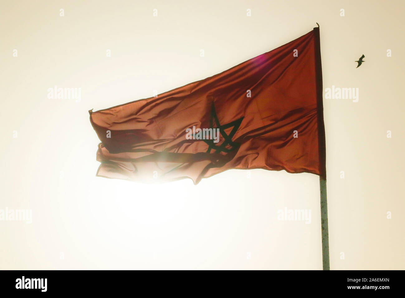 Marokkanische Flagge Stockfoto