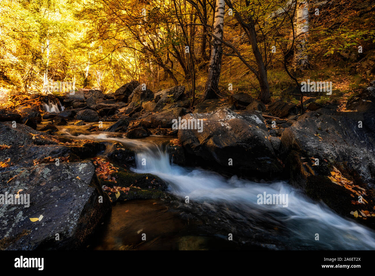 Herbst Landschaft schöne farbige Bäume über den Fluss, die glühende im Sonnenlicht. wunderbar malerischen Hintergrund. Stockfoto