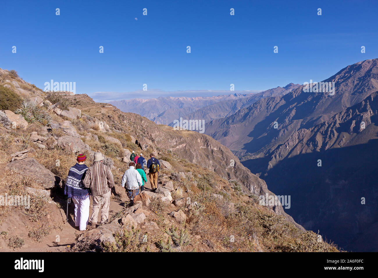 Touristen sind Wanderungen entlang Colca Canyon in Peru. Stockfoto