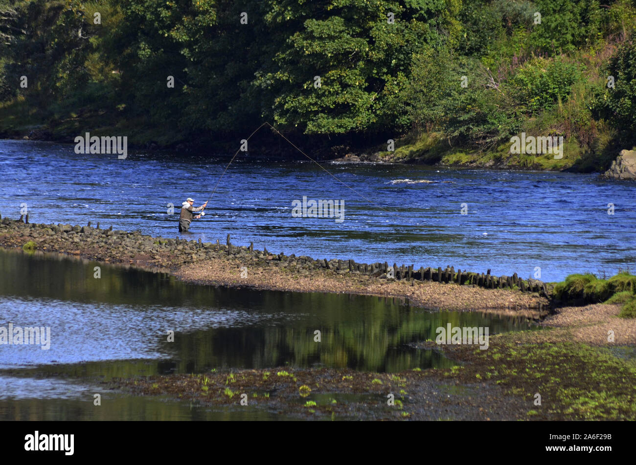 Fischer in der River Oykel am Kyle von Sutherland Bonar Bridge Sutherland Schottland Großbritannien Fliegen Stockfoto