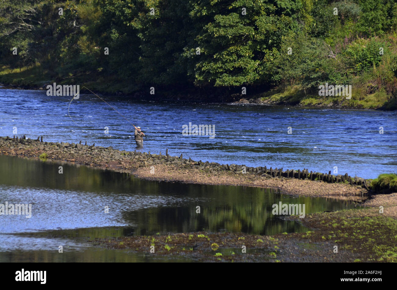 Fischer in der River Oykel am Kyle von Sutherland Bonar Bridge Sutherland Schottland Großbritannien Fliegen Stockfoto