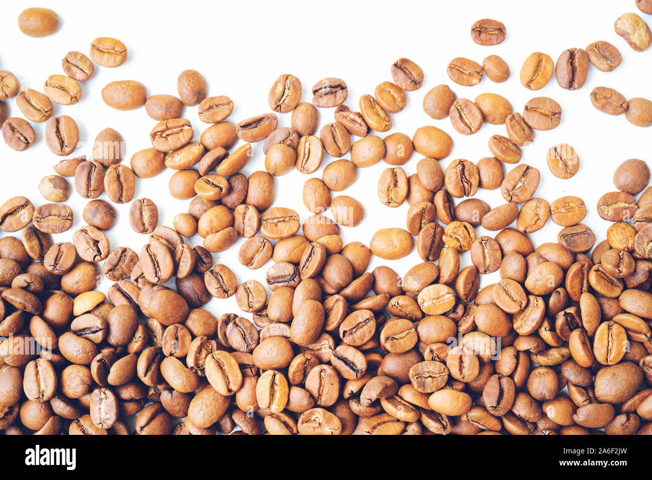 Kaffeebohnen isoliert auf weißem Hintergrund Stockfoto