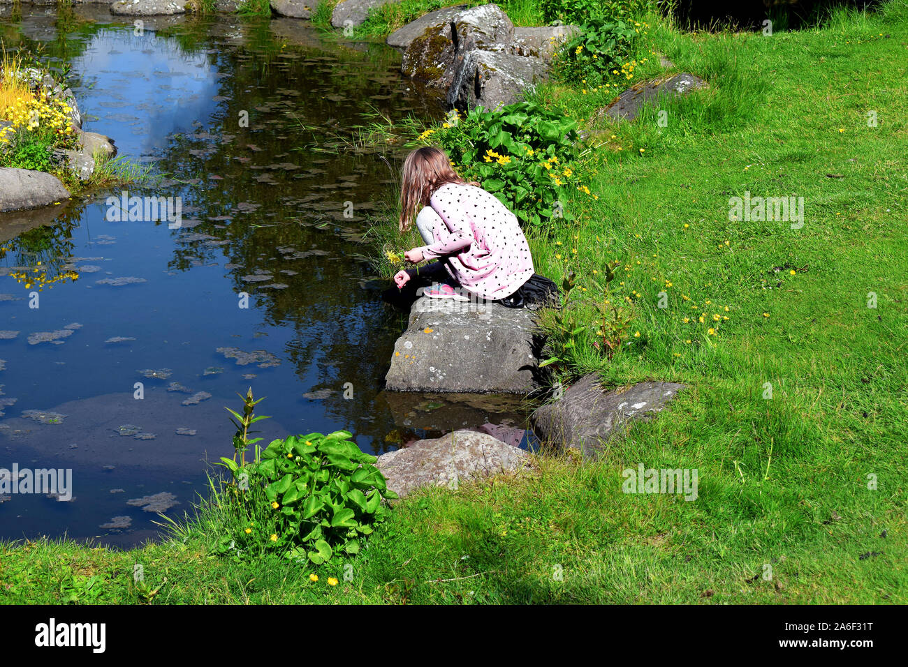 Kleine Mädchen spielen in der Nähe von einem Teich in Laugardalur Parks in Reykjavik, Island Stockfoto