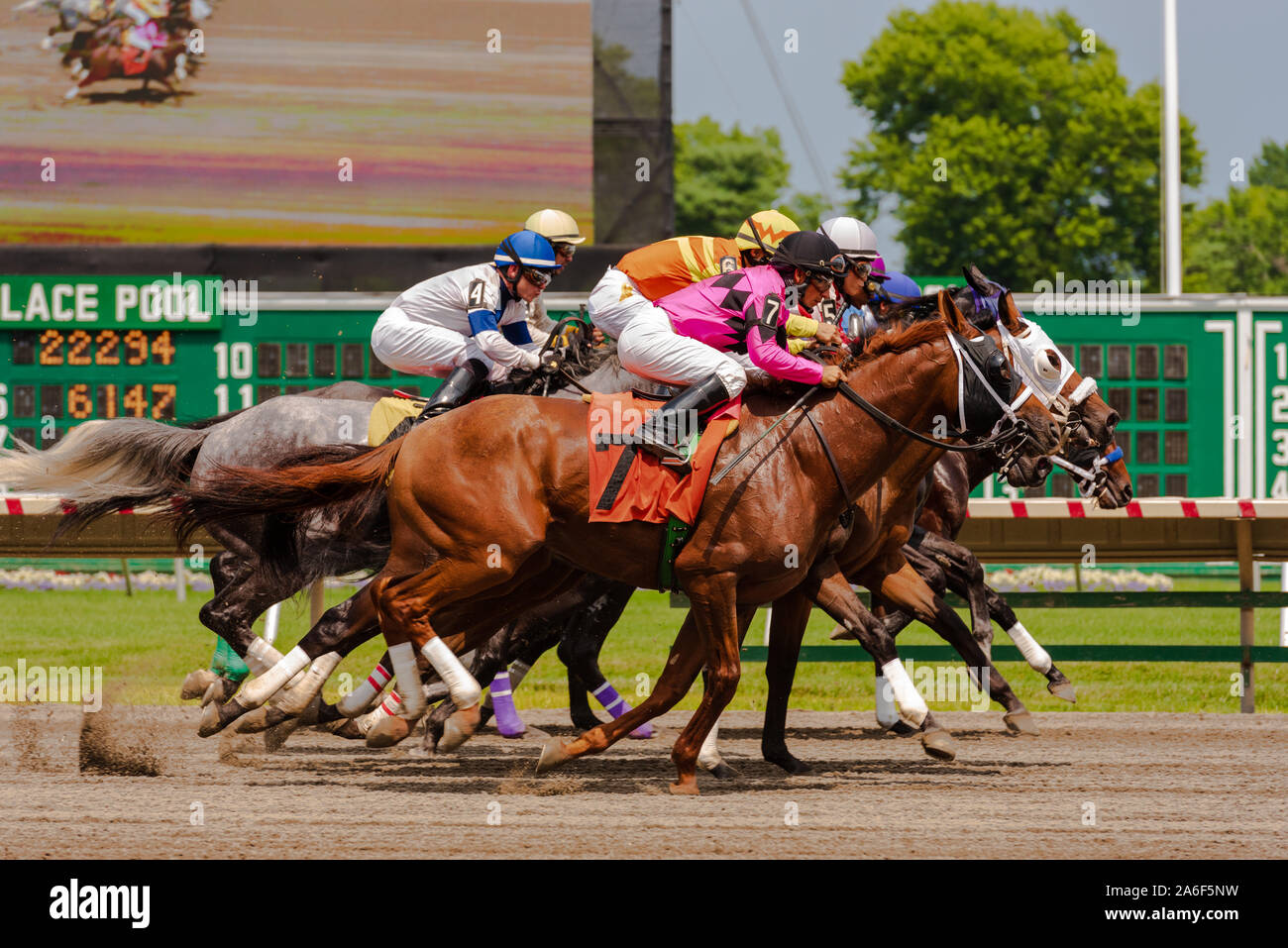Monmouth Race Track, New Jersey, USA - 18. Juli 2015 - - Pferde sind gebündelt, wie sie rennen. Editorial nur verwenden Stockfoto